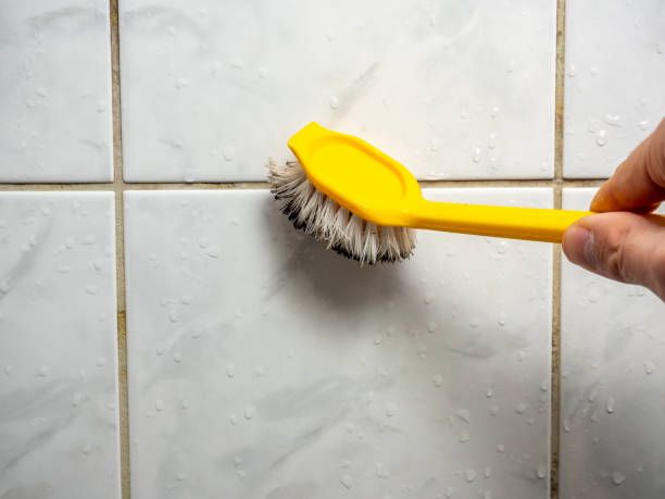 Best Commercial Mold Removal  in Sun Valley, ID